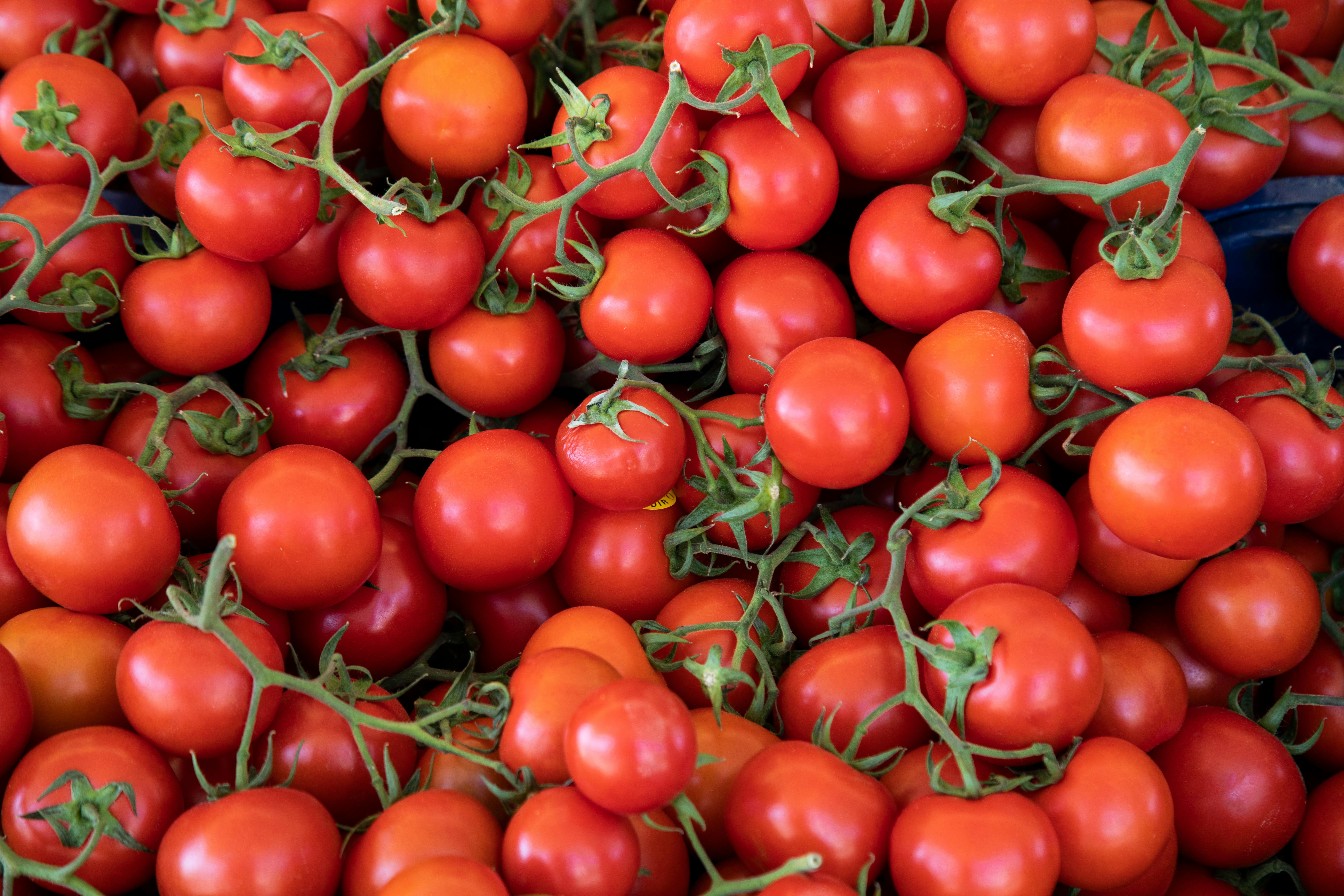 Photo of tomatoes.