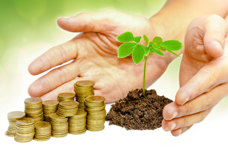 Money-seedling-IDEAS.jpg