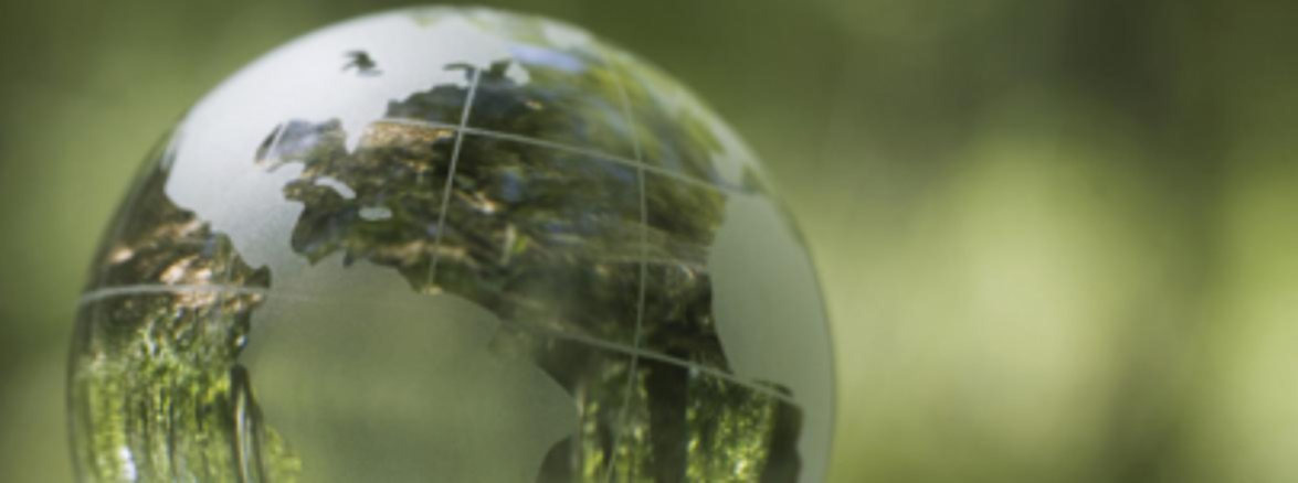 sustainability_green_globe_know_copy.jpg sustainability_green_globe_know_copy.jpg